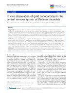 báo cáo khoa học: 