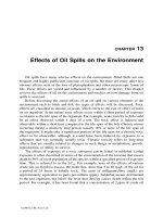 The Basics of Oil Spill Cleanup - Chapter 13 pps