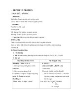 PEPTIT VÀ PROTEIN pps