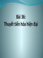 Giáo án điện tử môn sinh học: sinh học lớp 12- Bài 36: Thuyết tiến hóa hiện đại pptx