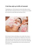 Cách làm mặt nạ từ đất sét bentonit doc