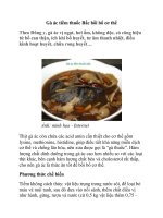 Gà ác tiềm thuốc Bắc bồi bổ cơ thể ppsx