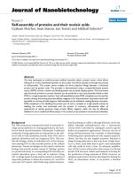 báo cáo khoa học: 