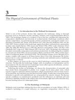 WETLAND PLANTS: BIOLOGY AND ECOLOGY - CHAPTER 3 potx