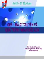 Giáo án điện tử môn sinh học:Sinh học lớp 12-GEN, MÃ DI TRUYỀN VÀ QUÁ TRÌNH NHÂN ĐÔI ADN doc
