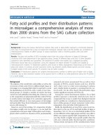 báo cáo khoa học: 