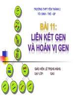 Giáo án điện tử sinh học:Sinh học lớp 12- Bài giảng hay- Liên kết Gen và Hoán Vị Gen docx