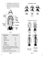Plastic surgery - part 4 pps