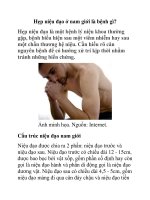 Hẹp niệu đạo ở nam giới là bệnh gì? ppsx