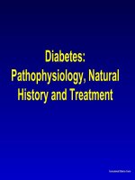 diabetes pathophysiology, natural history and treatment