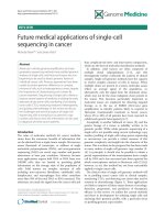 báo cáo khoa học: 