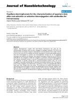 báo cáo khoa học: 