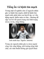 Tiếng ồn và bệnh tim mạch docx