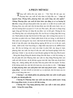 Lý luận về phương thức sản xuất pps