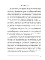 thực trạng và giải pháp hoạt động đầu tư nâng cao khả năng cạnh tranh của công ty cao su sao vàng