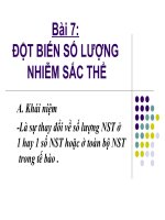 Giáo án điện tử sinh học:Sinh học lớp 12- Bài giảng sinh học 12 phần 5 pps
