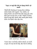 Nguy cơ ngộ độc khi sử dụng thuốc xịt muỗi ppsx