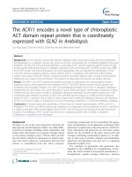 báo cáo khoa học: 