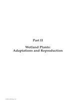 WETLAND PLANTS: BIOLOGY AND ECOLOGY - CHAPTER 4 pot