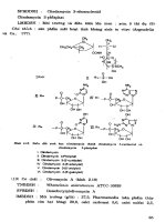 Vi nấm dùng trong công nghệ sinh học part 5 pot