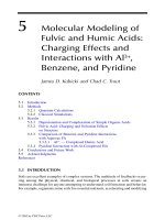 Geochemical and Hydrological Reactivity of Heavy Metals in Soils - Chapter 5 pptx