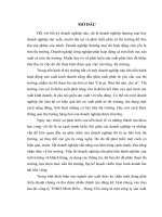 mở rộng thị trường tiêu thụ sản phẩm của công ty tnhh minh hiếu – hưng yên