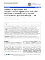 báo cáo khoa học: 