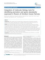 báo cáo khoa học: 