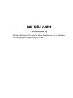 Cau Truc He Thong Tai Chinh pot