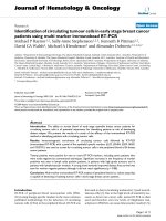 báo cáo khoa học: 