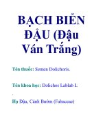 BẠCH BIỂN ĐẬU (Đậu Ván Trắng) pps