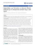 báo cáo khoa học: 