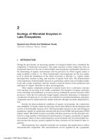 Enzymes in the Environment: Activity, Ecology and Applications - Chapter 2 pptx