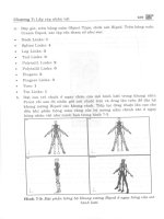 Thiết kế game trong 3Ds max part 8 docx