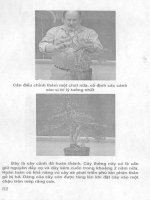 Sổ tay nghệ nhân cây cảnh part 4 pps