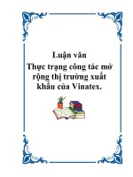 Luận văn - Thực trạng công tác mở rộng thị trường xuất khẩu của Vinatex. ppt