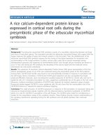 báo cáo khoa học: 