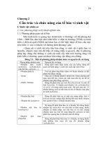 Cấu trúc và chức năng của tế bào vi sinh vật docx