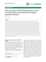 báo cáo khoa học: 