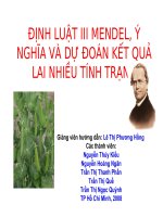 Định luật III Mendel, ý nghĩa và dự đoán kết quả lai nhiều tính trạng pot