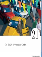 Hành vi tiêu dùng ppt