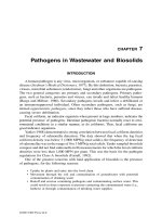 Land Application of Sewage Sludge and Biosolids - Chapter 7 pdf