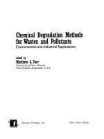 Chemical Degradation Methods for Wastes and Pollutants - Chapter 1 pps
