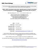 báo cáo khoa học: 