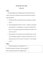 ĐỀ THI HSG TỔNG HỢP ( Đề số 16) potx