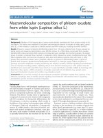 báo cáo khoa học: 