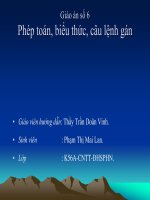 Giáo án số 6 Phép toán, biểu thức, câu lệnh gán doc