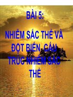 Giáo án điện tử sinh học: Sinh học lớp 12-NHIỄM SẮC THỂ VÀ ĐỘT BIẾN CẤU TRÚC NHIỄM SẮC THỂ-Tiết 2 pps