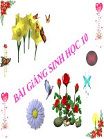 Giáo án điện tử môn sinh học: Sinh học lớp 12- Bài 11. Vận chuyển các chất qua màng sinh chất ppt