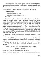 Tuyến trùng ký sinh cây ăn quả và biện pháp phòng trừ part 4 doc